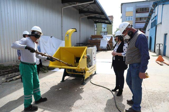 İzmit Belediyesi dal öğüterek 12 milyon TL tasarruf sağlayacak