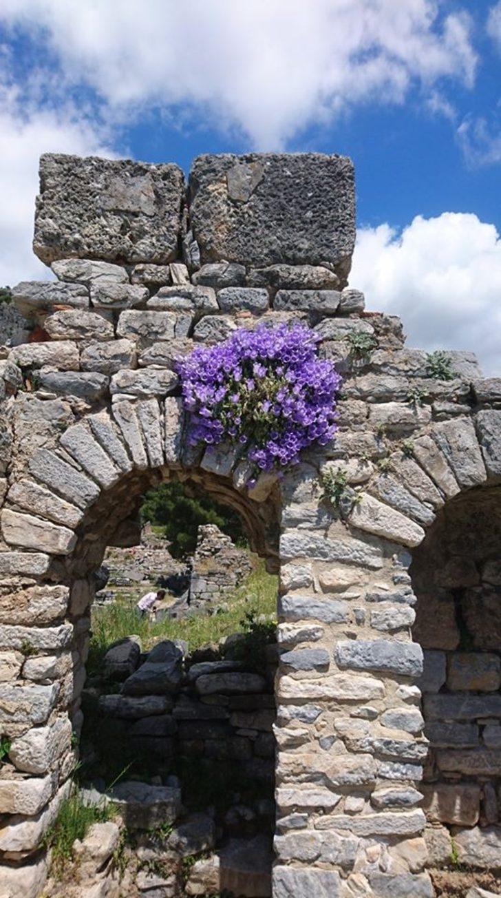 Bu çiçeği koparmanın cezası 73 bin lira G4