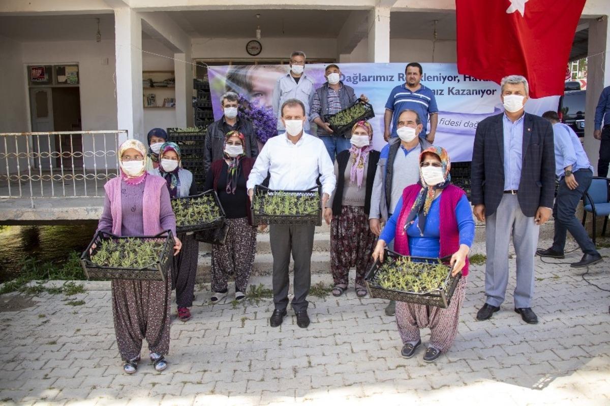 Başkan Se&ccedil;er, Silifke&rsquo;de &uuml;reticilere lavanta fidesi dağıttı