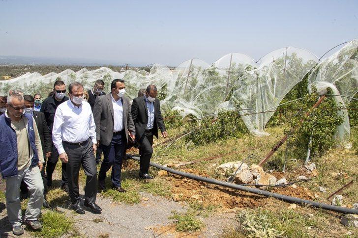 Başkan Seçer, Silifke’de üreticilere lavanta fidesi dağıttı G2
