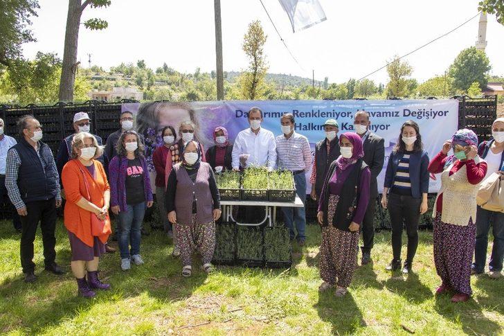 Başkan Seçer, Silifke’de üreticilere lavanta fidesi dağıttı G3