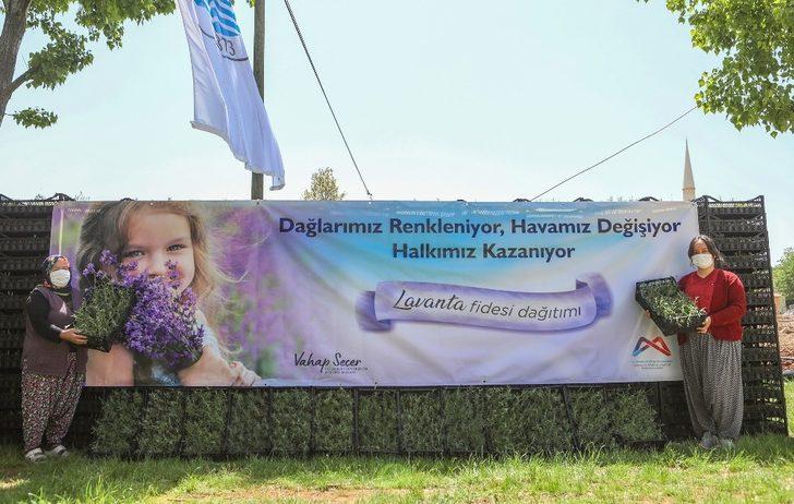 Başkan Seçer, Silifke’de üreticilere lavanta fidesi dağıttı G4