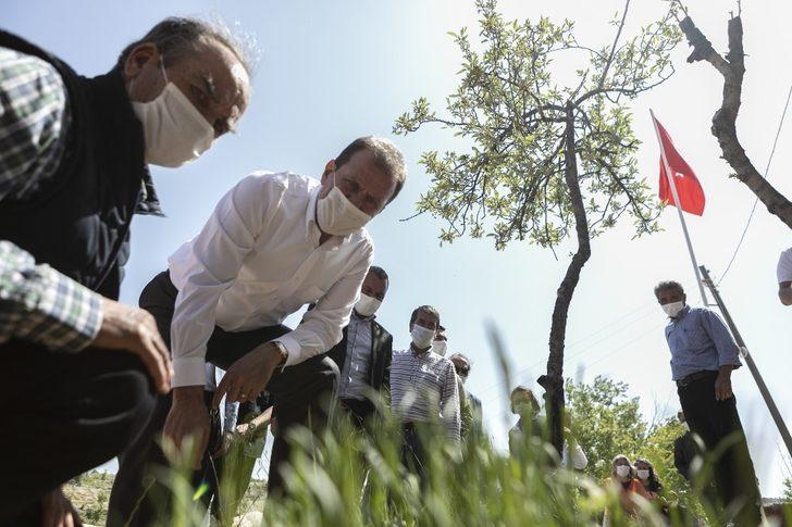 Başkan Seçer, Silifke’de üreticilere lavanta fidesi dağıttı G5