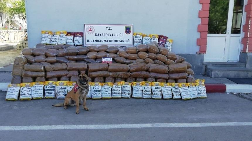 Kargo aracında 2 ton 250 kilo ka&ccedil;ak sarmalık kıyılmış t&uuml;t&uuml;n ele ge&ccedil;irildi