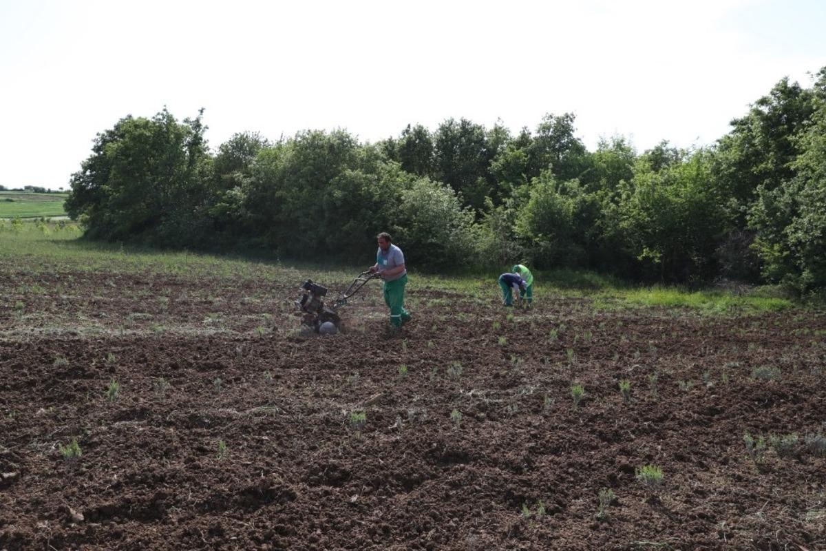 İzmit Belediyesi kompost g&uuml;bre &uuml;retimine başladı