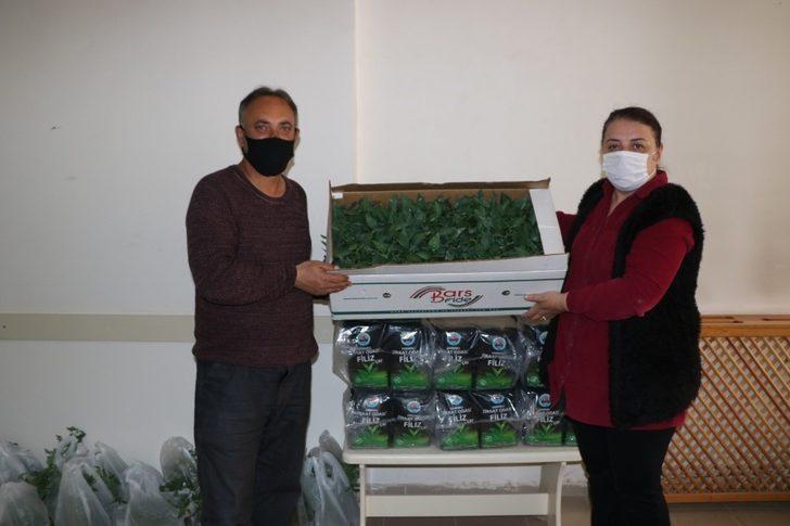 Sandıklı Ziraat Odası, ücretsiz domates ve biber fidesi dağıttı G2