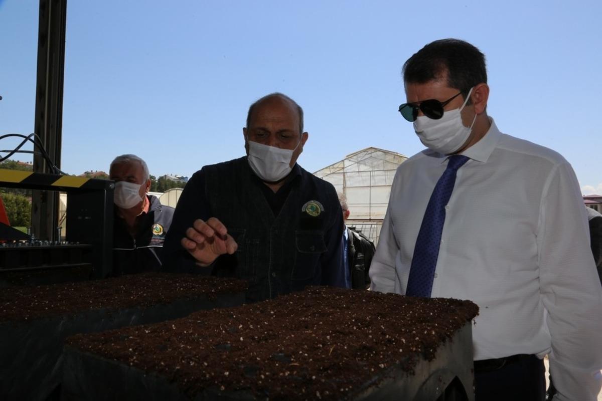 Her Sivaslı i&ccedil;in bir fidan dikilecek