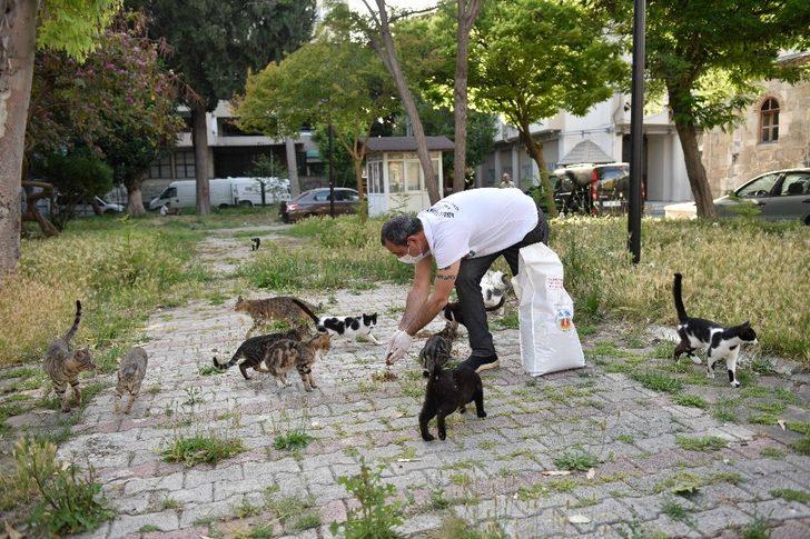 Büyükşehir sokak hayvanlarını unutmuyor G3