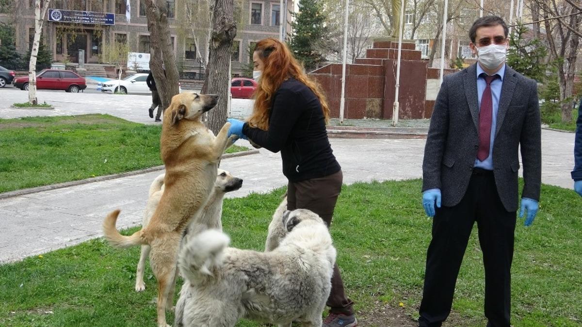 Ardahan&rsquo;da sokak hayvanları unutulmadı