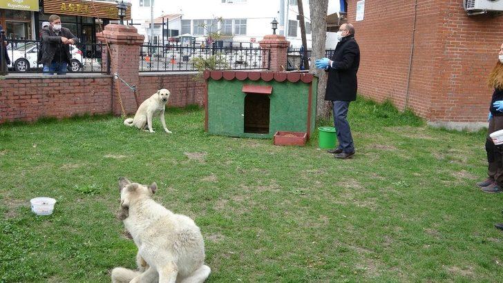 Ardahan’da sokak hayvanları unutulmadı G3