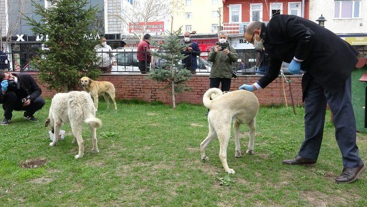 Ardahan’da sokak hayvanları unutulmadı G5