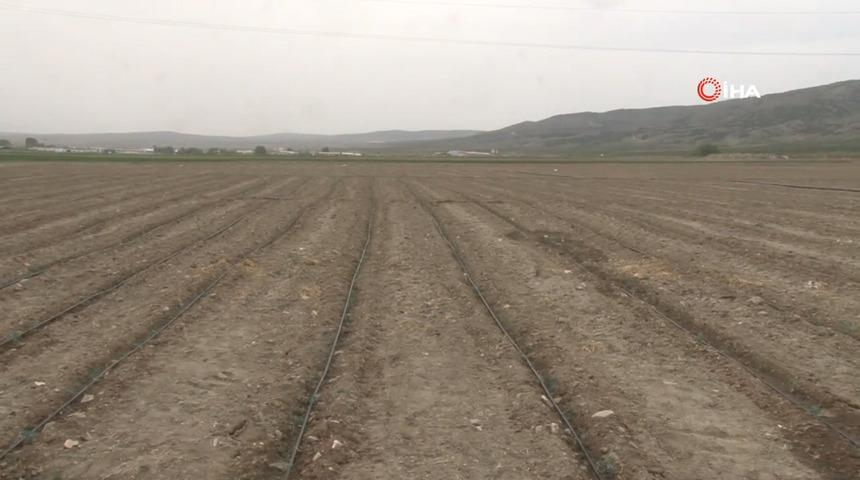 Koronavirüs arsa, tarla ve bahçe fiyatlarını yüzde 20 artırdı