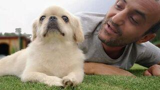 Survivor'dan ayrılan Ersin Korkut Mess'in öldüğünü öğrendi! 'Acı günümde...'