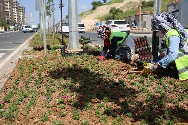 Büyükşehir Belediyesi yeşil bir Mardin için çalışmalara hız verdi G3