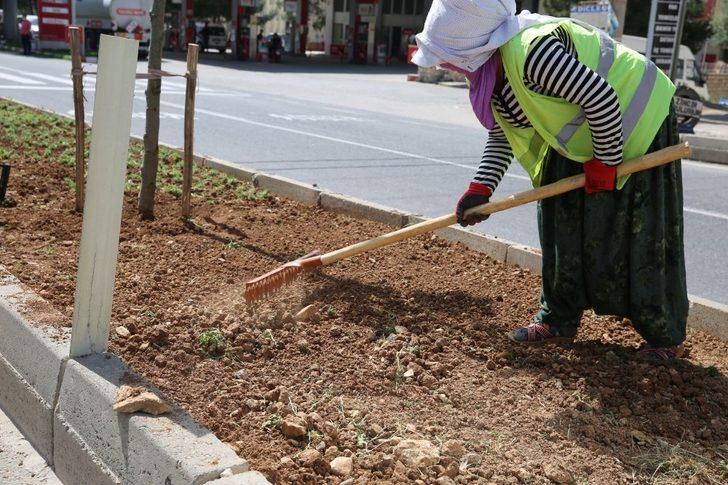 Büyükşehir Belediyesi yeşil bir Mardin için çalışmalara hız verdi G4