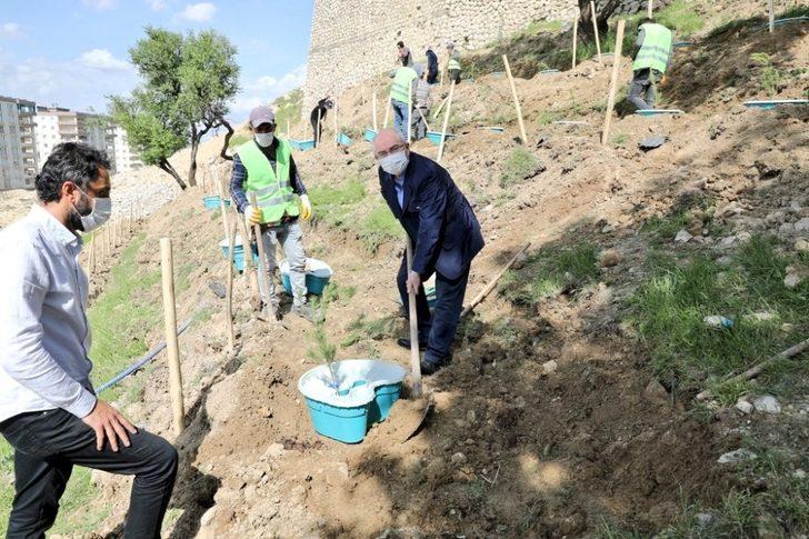 Büyükşehir Belediyesi yeşil bir Mardin için çalışmalara hız verdi G5