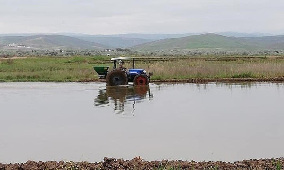 Sungurlu&rsquo;da &ccedil;eltik ekimi başladı
