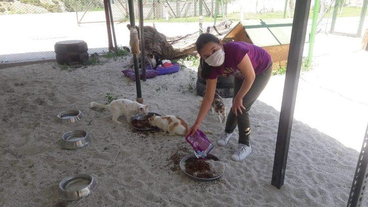 Çocuklar izin saatlerini can dostlarıyla geçirdi G1