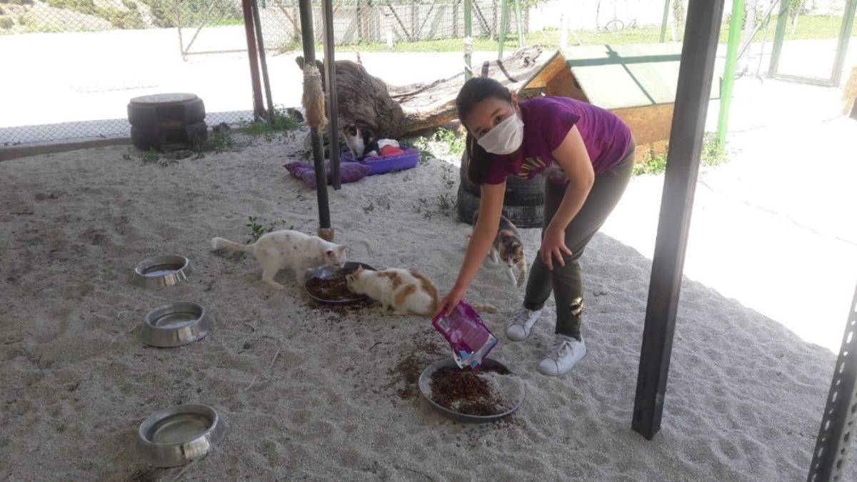 &Ccedil;ocuklar izin saatlerini can dostlarıyla ge&ccedil;irdi