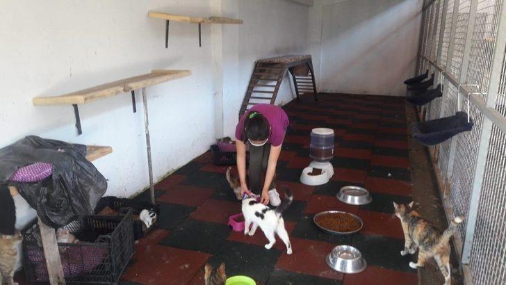 Çocuklar izin saatlerini can dostlarıyla geçirdi G2