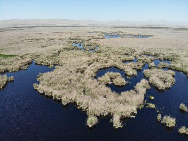 Talimat Cumhurbaşkanı'ndan geldi! Kayseri’de ’Sultan Sazlığı’ mutluluğu G2