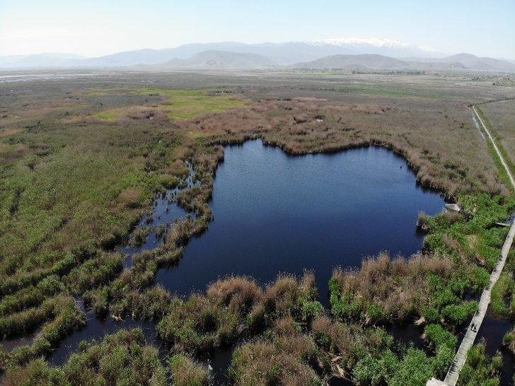 Talimat Cumhurbaşkanı'ndan geldi! Kayseri’de ’Sultan Sazlığı’ mutluluğu G3