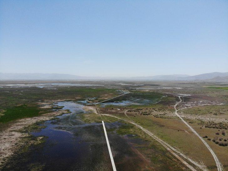 Talimat Cumhurbaşkanı'ndan geldi! Kayseri’de ’Sultan Sazlığı’ mutluluğu G4