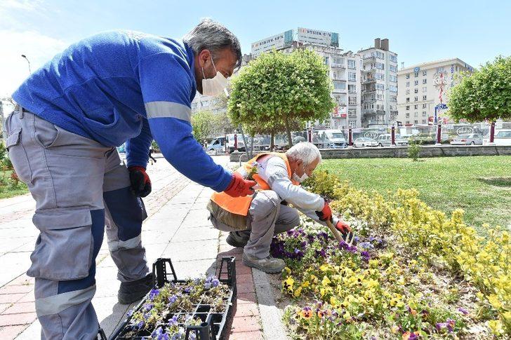 Mamak botanik bahçesine dönüştü G1