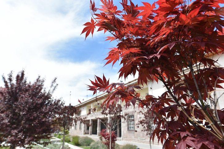 Mamak botanik bahçesine dönüştü G3