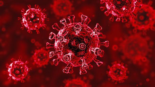 Harvard bilim insanlarından DSÖ’ye suçlama