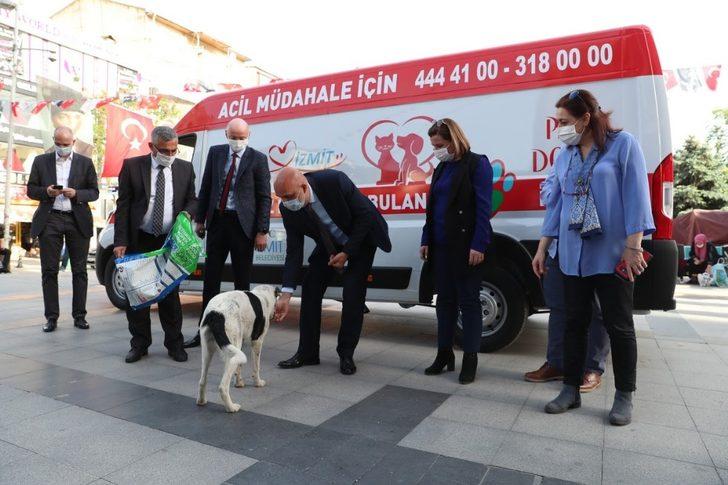 İzmit’te sokak hayvanlarının yadımına ambulans yetişecek G1