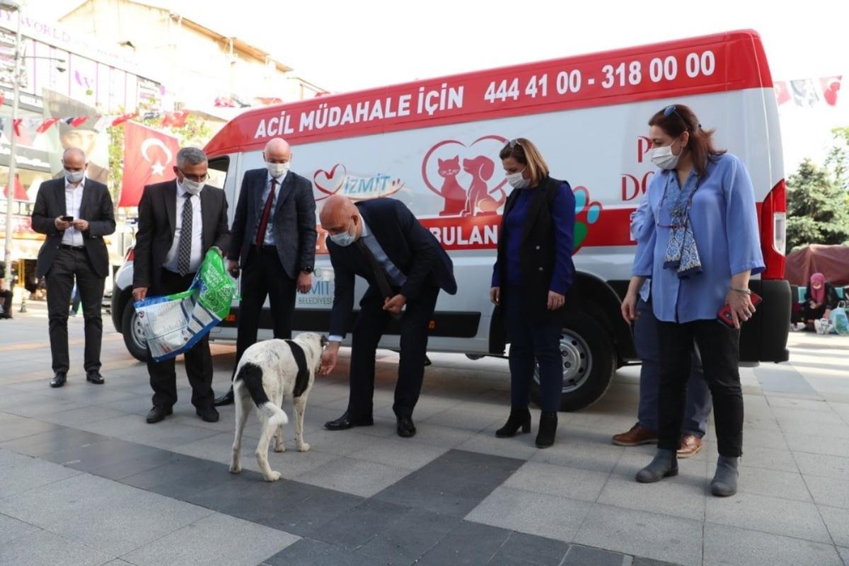İzmit&rsquo;te sokak hayvanlarının yadımına ambulans yetişecek