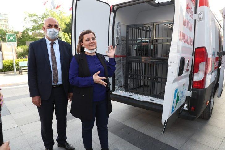 İzmit’te sokak hayvanlarının yadımına ambulans yetişecek G4