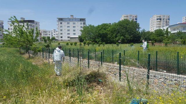 Kahta Belediye ekipleri ilaçlama çalışmalarını sürdürüyor