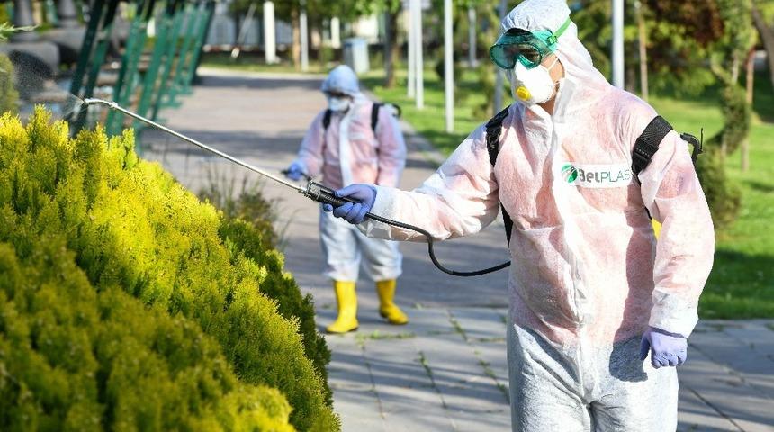 Ankara’da sinek ve haşerelere karşı ilaçlama