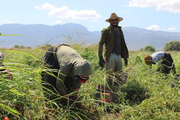Manisa en fazla tarım alanına sahip 10. il G1