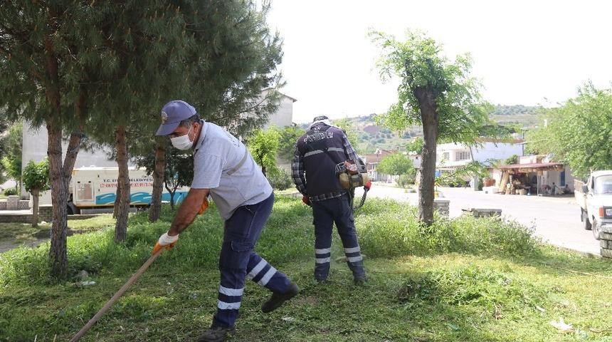 Efeler’de yeşil alanların bakımı devam ediyor