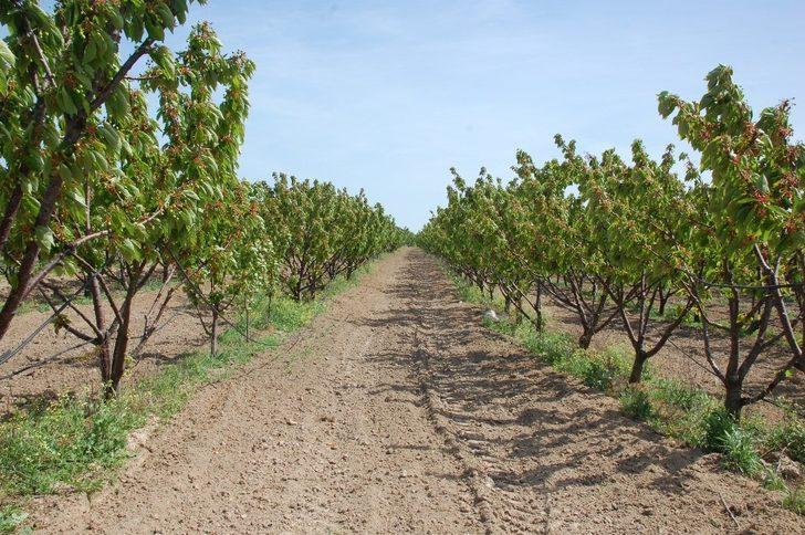 Hobi olarak başlamıştı, şimdi siparişlere yetişemiyor G4