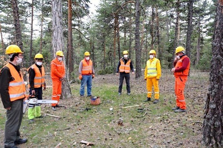 Müdür Keskin: "Ormanlarımızın doğal yapısını bozmamaya özen gösteriyoruz" G3