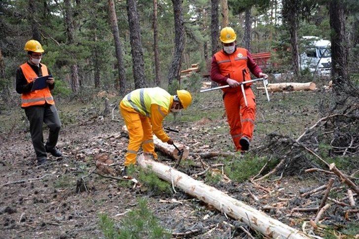 Müdür Keskin: "Ormanlarımızın doğal yapısını bozmamaya özen gösteriyoruz" G4