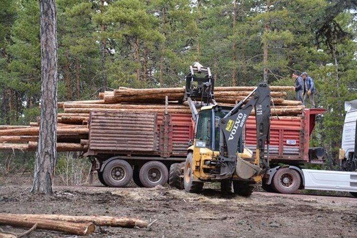 Müdür Keskin: "Ormanlarımızın doğal yapısını bozmamaya özen gösteriyoruz" G5