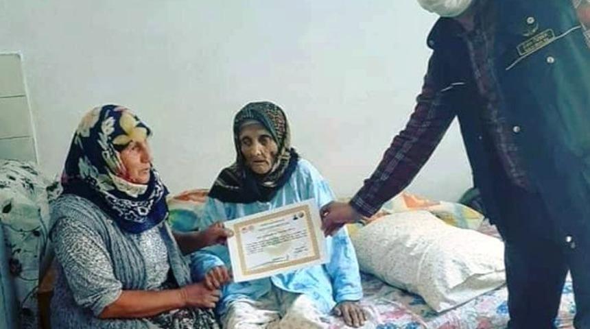 Asırlık &ccedil;ınara fidan sertifikası