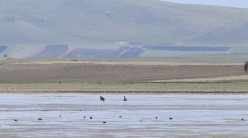 Kuyucuk G&ouml;l&uuml; eski g&uuml;nlerine d&ouml;n&uuml;yor