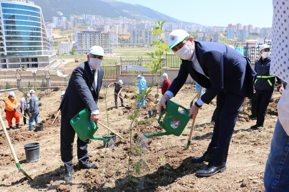 Kahramanmaraş&rsquo;ta 400 sağlık &ccedil;alışanı i&ccedil;in 400 fidan