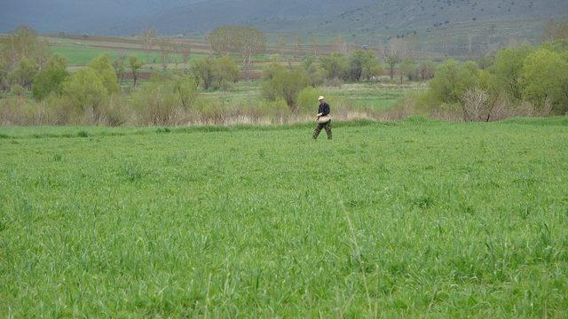 Tufanbeyli’den üretime destek