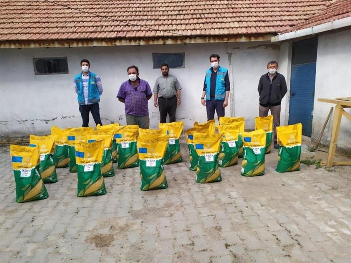 K&uuml;tahya&rsquo;da &ccedil;ift&ccedil;ilere yağlık ay&ccedil;i&ccedil;eği ve dane mısır tohumu desteği