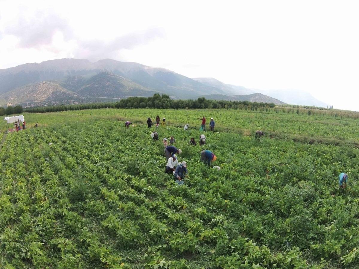 Isparta&rsquo;da sulama sezonu başladı