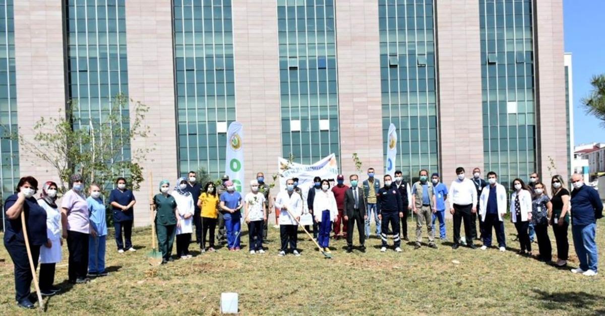 Hemşireler adına fidan dikildi