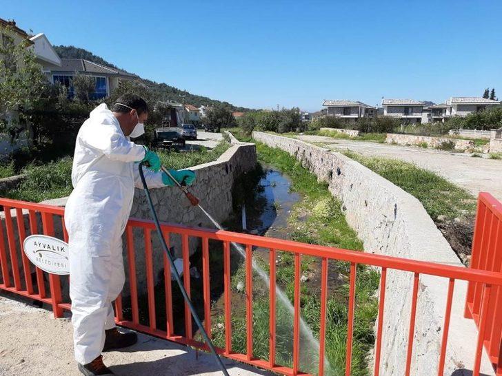 Ayvalık’ta “sivrisinek” ile amansız mücadele sürüyor G1