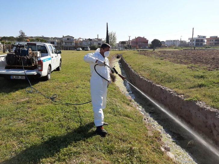 Ayvalık’ta “sivrisinek” ile amansız mücadele sürüyor G3